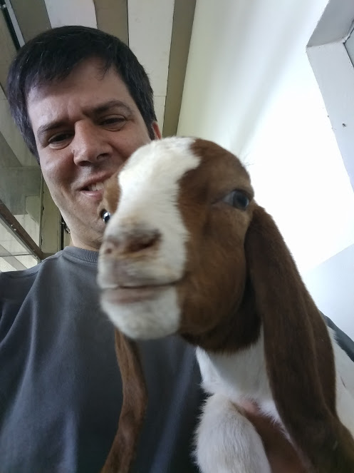 Prof. Dr. Felipe Brandão